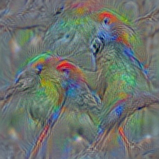 n01818515 macaw
